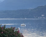 IMG_1025 IMG_1025